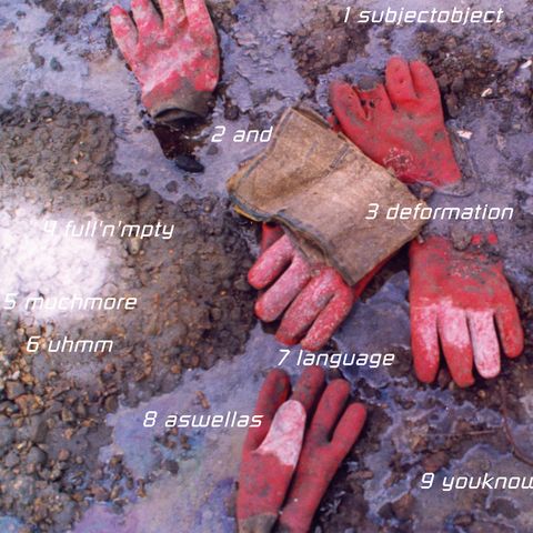 Colour photograph. Five work gloves lie on dirt with swirling, possibly oily water. Text scattered around the image reads, roughly from top to bottom, “1 subject object,” “2 and”, “3 deformation”, “4 full’n’empty”, “5 muchmore”, “6 uhmm”, “7 language”, “8 as well as”, and “9 younow”.